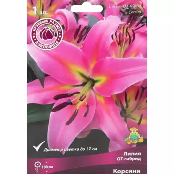 Лилия ОТ-гибрид Корсини 1 шт.