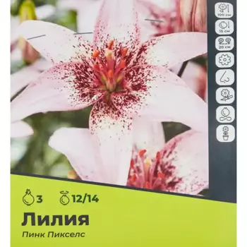 Лилия Пинк Пикселс луковицы 12/14, 3 шт.