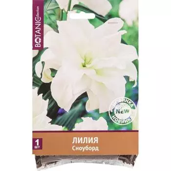 Лилия Сноуборд 12/14, 1 шт