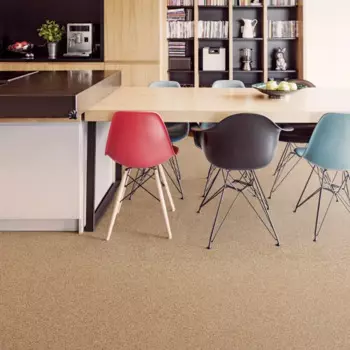 Линолеум бытовой «Лена» 21 класс 21 класс 3.5 м