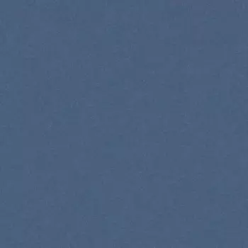 Линолеум коммерческий гетерогенный Tarkett ACCZENT PRO ASPECT 11 3 м (60 м2)