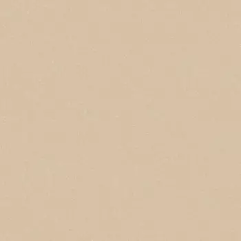 Линолеум коммерческий гетерогенный Tarkett ACCZENT PRO ASPECT 5 4 м (80 м2)