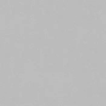 Линолеум коммерческий гетерогенный Tarkett ACCZENT PRO ASPECT 2 2.5 м (50 м2)