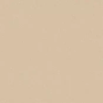 Линолеум коммерческий гетерогенный Tarkett ACCZENT PRO ASPECT 5 3.5 м (70 м2)