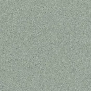 Линолеум коммерческий гомогенный Tarkett PRIMO PLUS 311 2 м (46 м2)