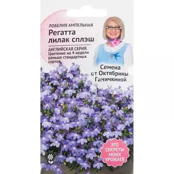 Лобелия «Регатта Лилак сплеш» 10 шт.