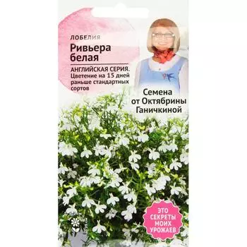 Лобелия «Ривьера» белая 10 шт.