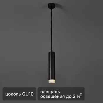 Люстра подвесная PL18 1 лампа 2 м цвет черный