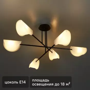 Люстра потолочная Mallow FR5228PL-06B 6 ламп
