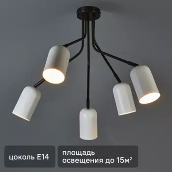 Люстра потолочная Rosalinda 3167-305 5 ламп 15 м цвет белый