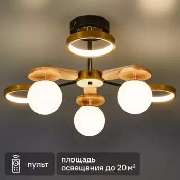Люстра потолочная светодиодная Arte Lamp Carmela с пультом управления 20 м регулируемый белый свет цвет черный