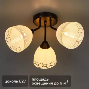 Люстра потолочная Вьюнок 3 лампы 10 м цвет черный/белый