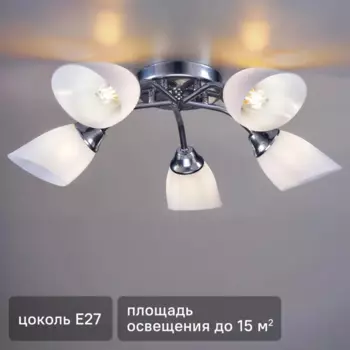 Люстра потолочная Жанр 5 ламп 15 м цвет серебристый/белый