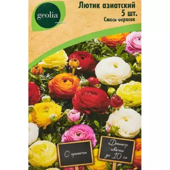 Лютик Geolia азиатский смесь окрасок 5 шт