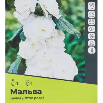 Мальва белая разбор I