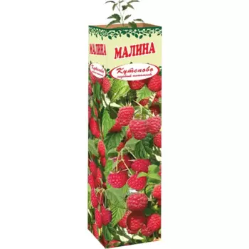 Малина 9x35 см