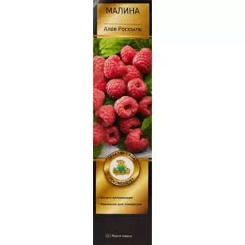 Малина Алая россыпь короб h35 см