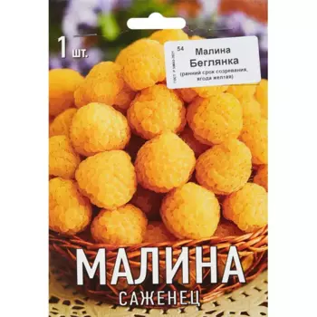 Малина Беглянка 9 h39 см