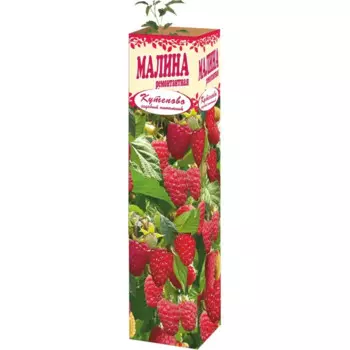 Малина ремонтантная 9x35 см