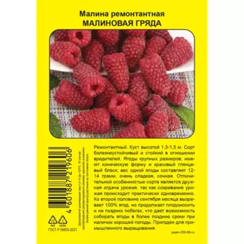 Малина ремонтантная Малиновая гряда пакет h39 см