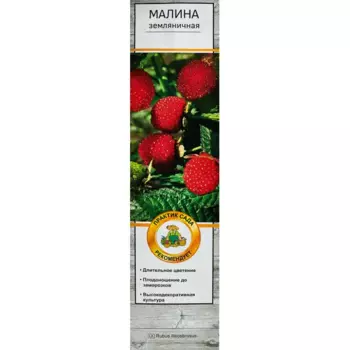Малина Земляничная h35 см