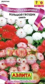 Маргаритка махровая «Большой гвоздик» смесь окрасок