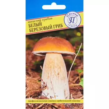 Мицелий грибов белый гриб Березовый