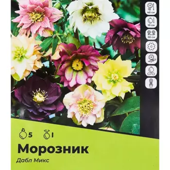Морозник Дабл микс разбор I 3 шт.