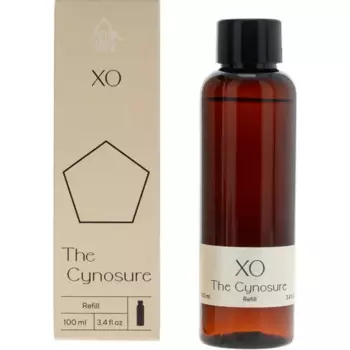 Наполнитель для диффузора Arida Home Xo The Cynosure 100 мл