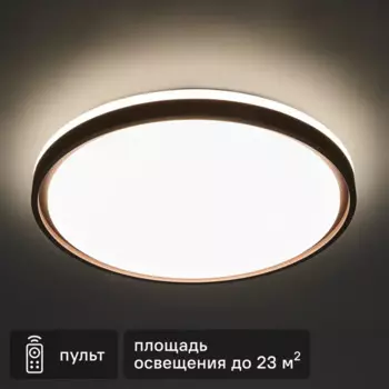Светильник настенно-потолочный светодиодный Lumion Navil 3044/EL 72 Вт регулируемый белый свет цвет коричневый
