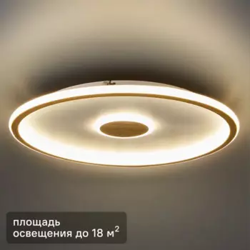Светильник настенно-потолочный светодиодный Freya Orbit FR5421CL-L80BG 80 Вт нейтральный белый свет цвет бежевый