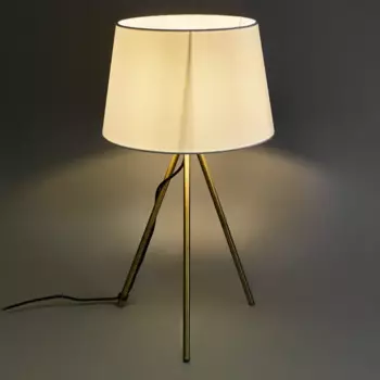 Настольный светильник Freya FR5118TL-01BS