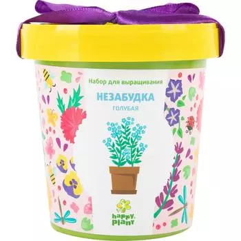 Незабудка голубая в горшке