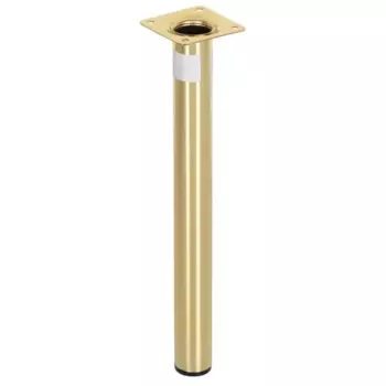 Ножка для мебели круглая Larvij стальная 30x300 мм золото нагрузка до 20 кг