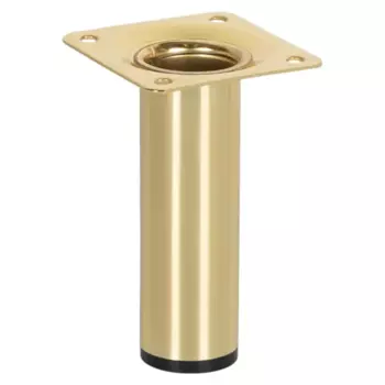 Ножка для мебели круглая Larvij стальная 30x100 мм золото нагрузка до 20 кг