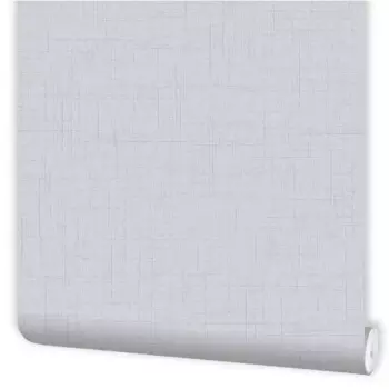 Обои бумажные Пермские обои Сатин серые 0.53 м 574-017