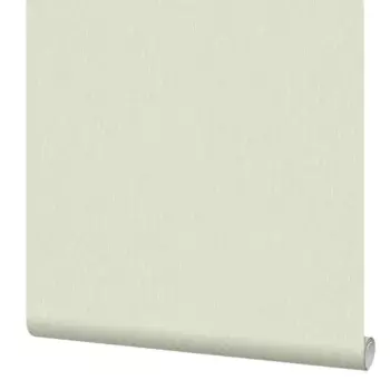 Обои флизелиновые Erismann Bali светло-зеленые 1.06 м ЭР60812-02