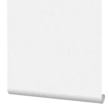 Обои флизелиновые Erismann Isadora белые 1.06 м ЭР60811-02