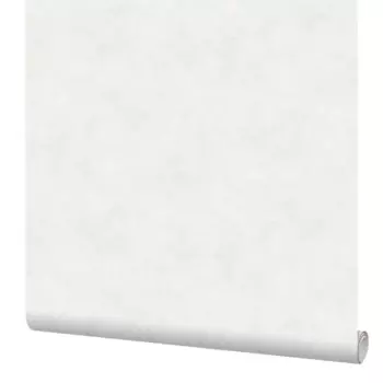 Обои флизелиновые Erismann Veter бежевые 1.06 м 60560-01