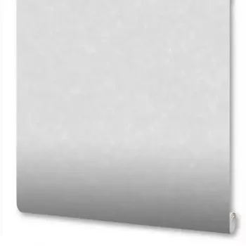 Обои флизелиновые New Age Baikal серые 1.06 м NA8763-11