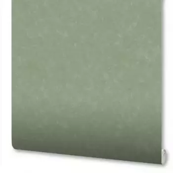 Обои флизелиновые New Age Baikal зеленые 1.06 м NA8763-14