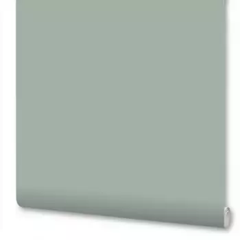 Обои флизелиновые New Age Botanica серые 1.06 м NA8943-04