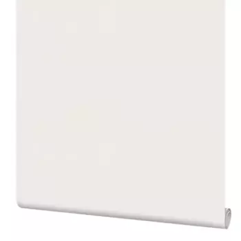 Обои флизелиновые Palitra Planet Faina бежевые 1.06 м PP72120-24