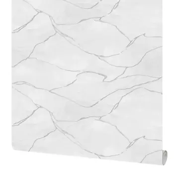 Обои флизелиновые Сага белые 1.06 м 4366-1