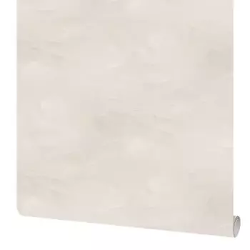 Обои флизелиновые Сага бежевые 1.06 м 4367-2