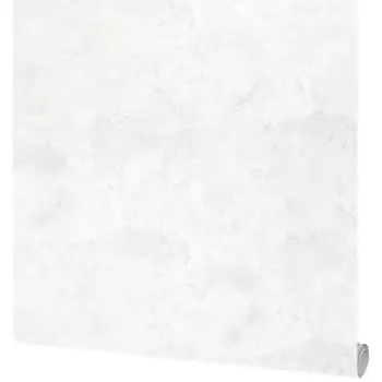 Обои флизелиновые Victoria Stenova Da Vinci белые 1.06 м VS286751