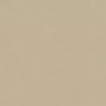 Обои флизелиновые Wiganford All Time бежевые 1.06 м WG0603
