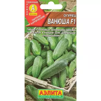 Огурец Ванюша F1 10 шт.