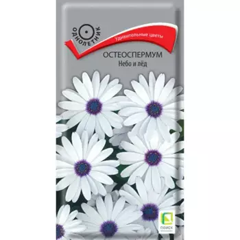 Остеоспермум Небо и лед 0.1 г