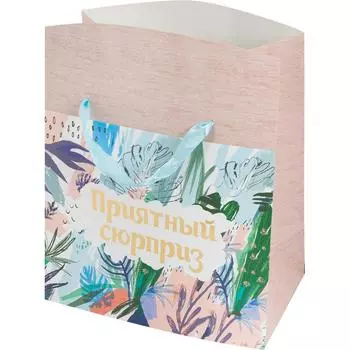 Пакет-коробка 79676, 22.5х13.5х20 см